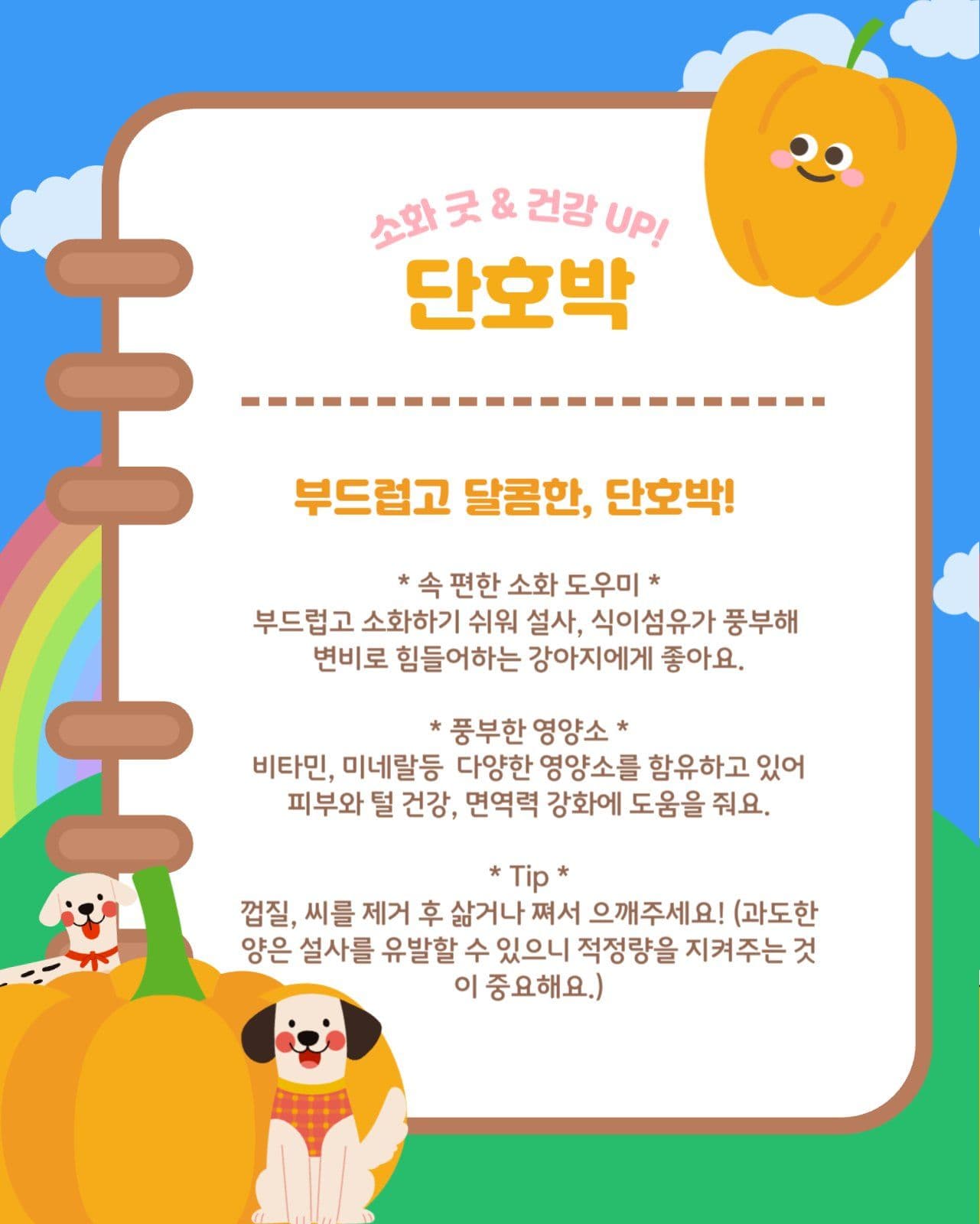 강아지에게 좋은 채소