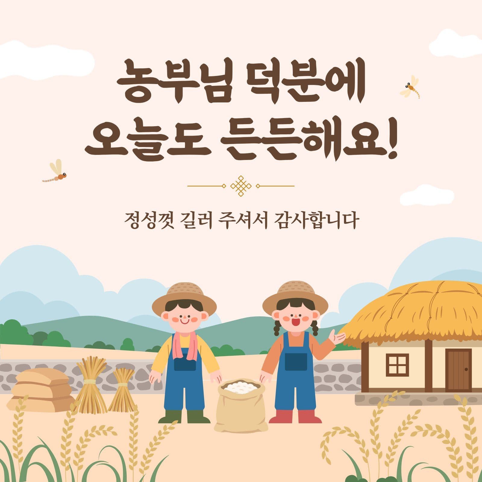 농업인의 날 감사 인사 어린이집 카드뉴스 템플릿