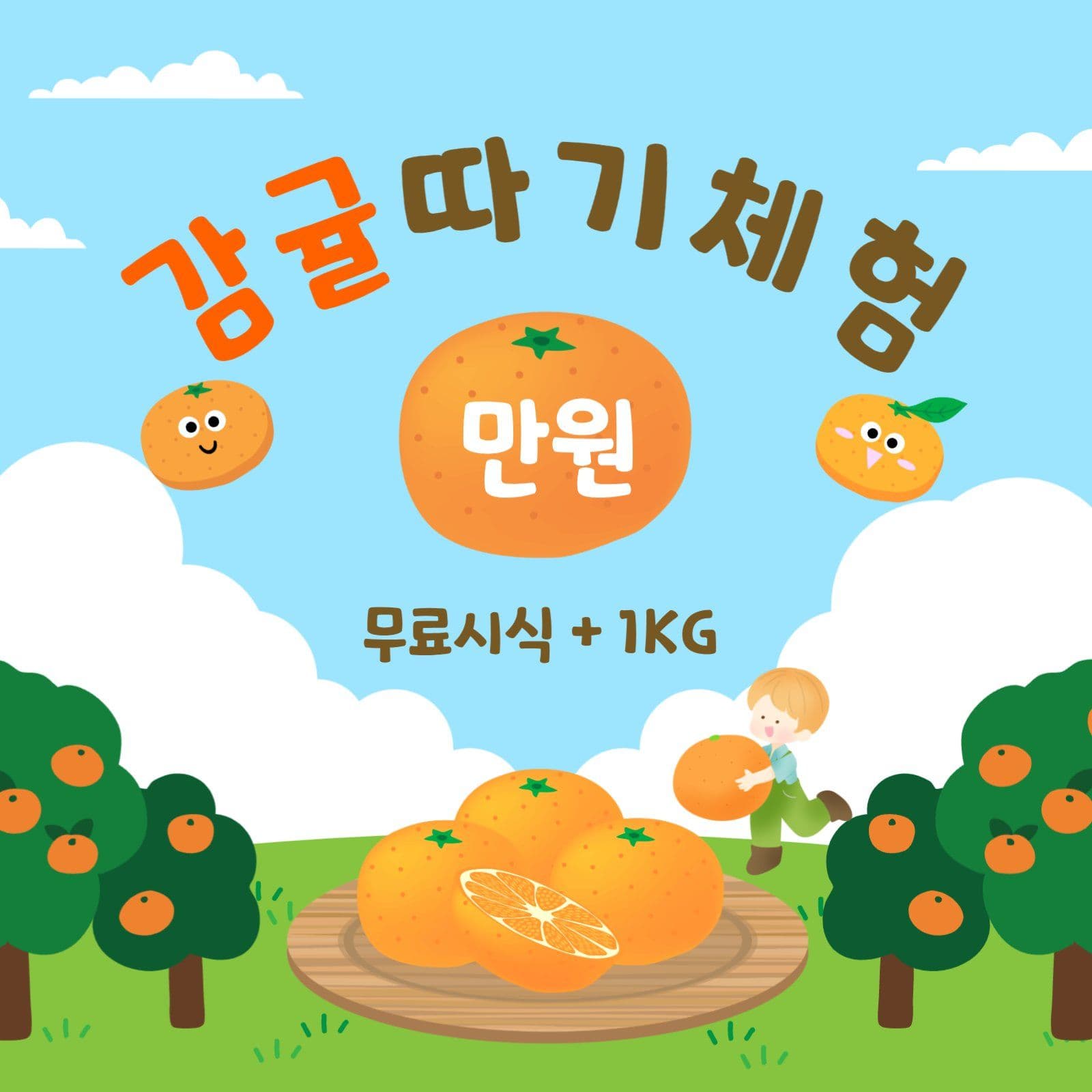 감귤따기체험