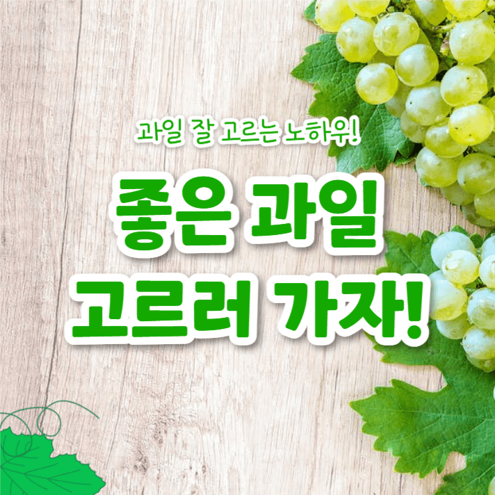 좋은 과일 고르는 꿀팁 (카드뉴스)