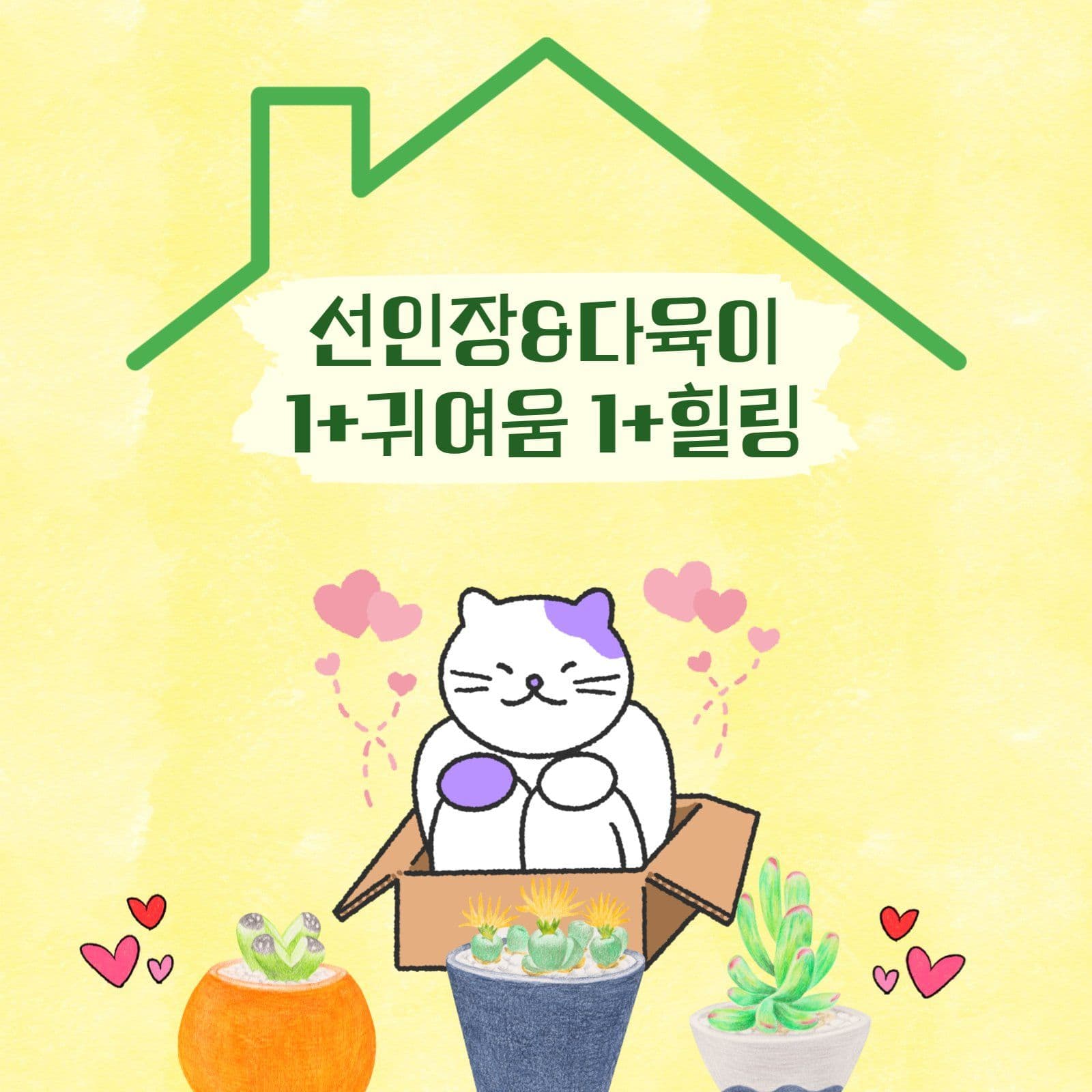 집돌이,집순이를 위한 꿀잼 취미생활