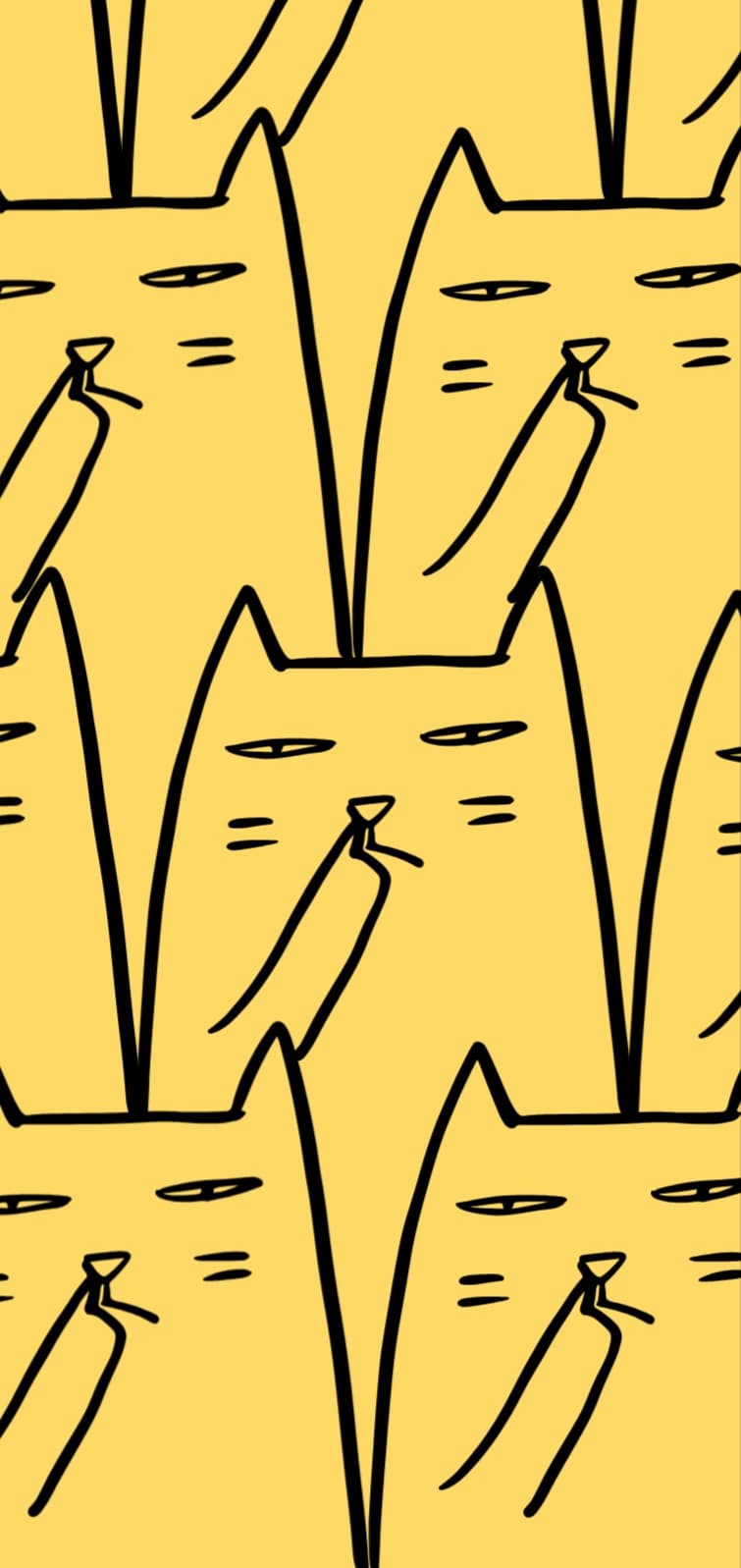 웃긴 고양이 배경화면