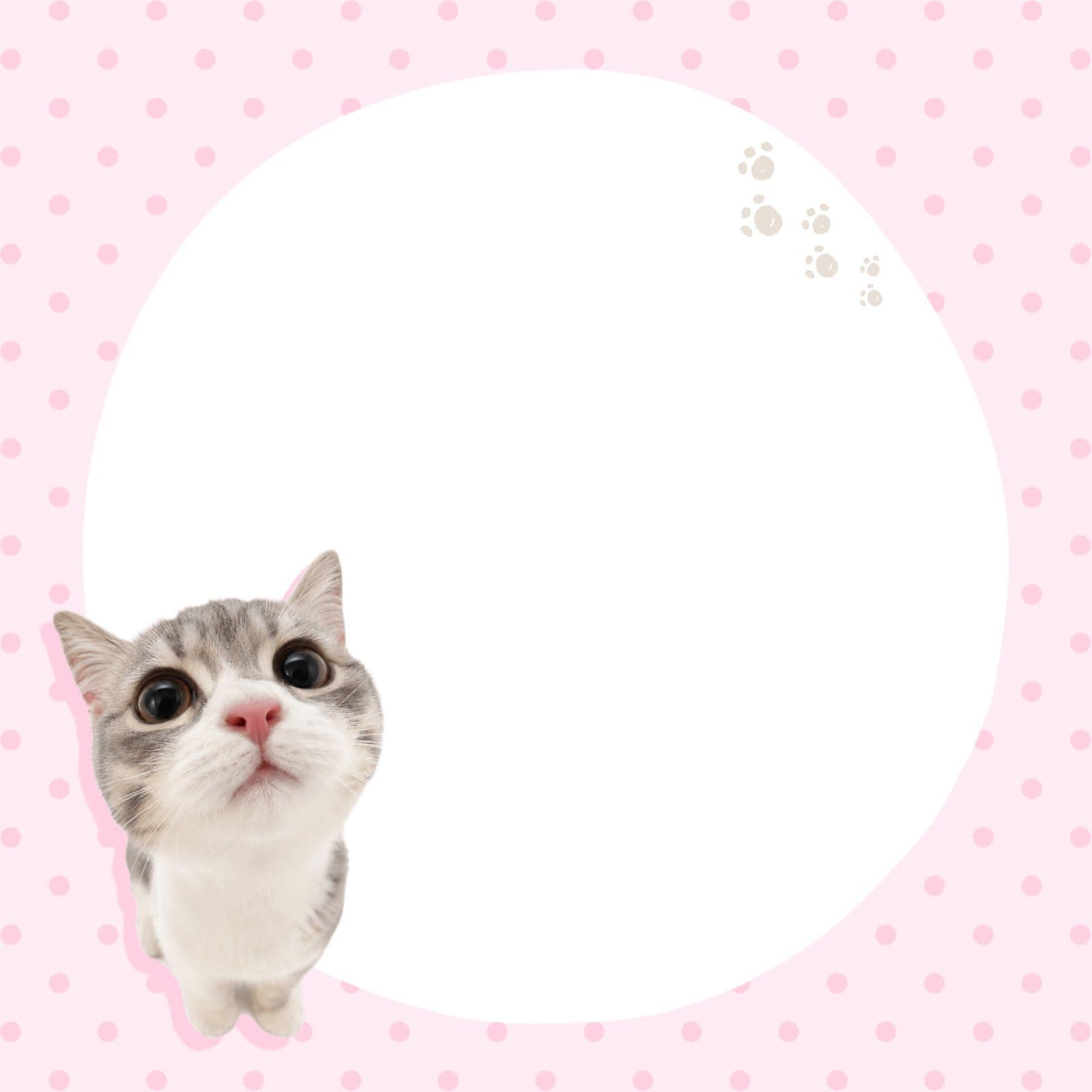 귀여운 고양이 메모지 떡메모지
