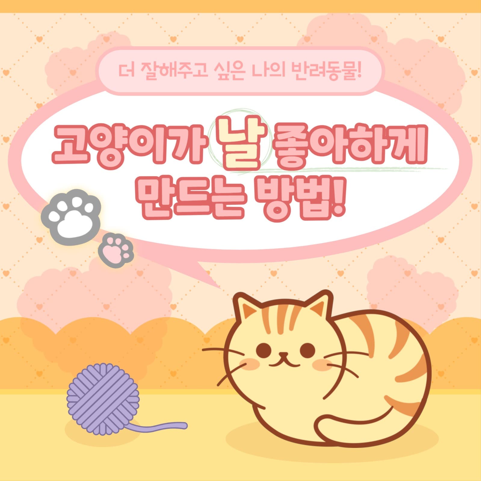 반려묘 템플릿