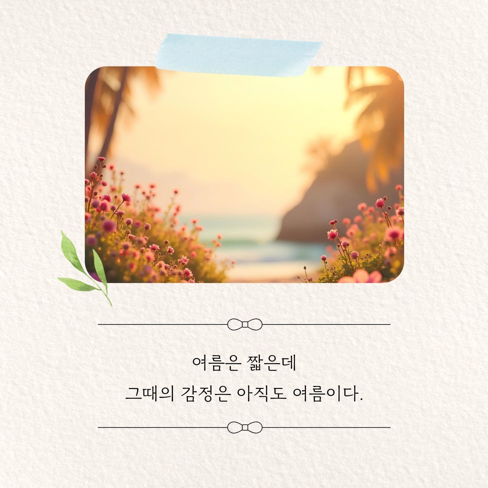 여름 감성 카드뉴스