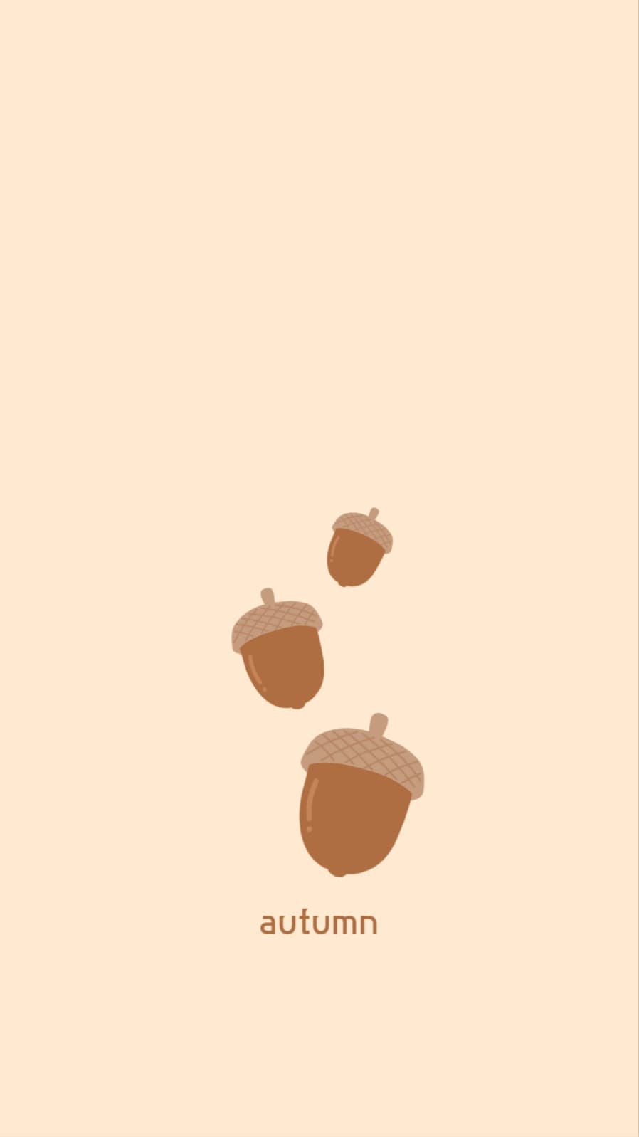 도토리 배경화면