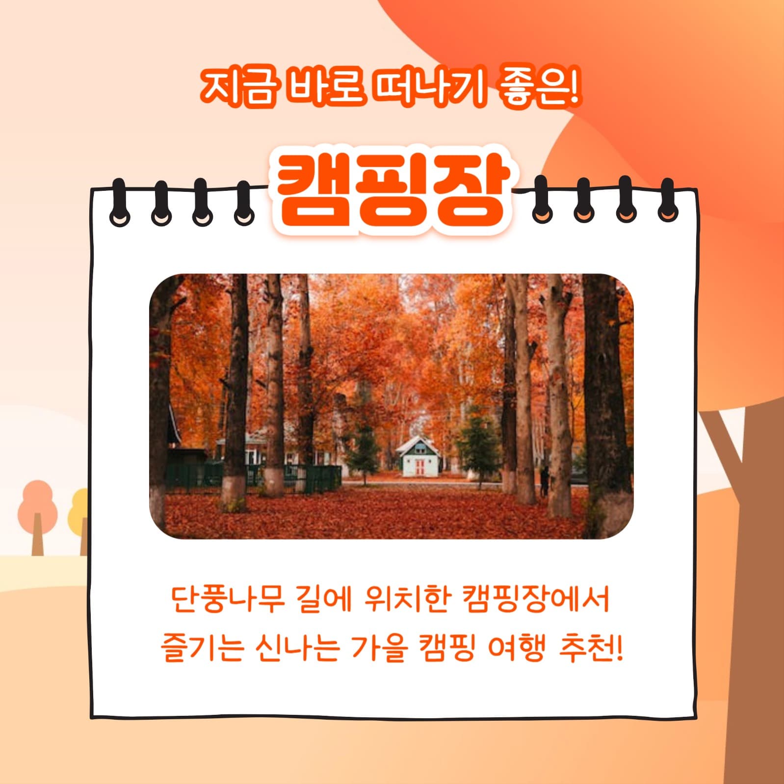 국내 가을 여행지 추천 (카드뉴스)