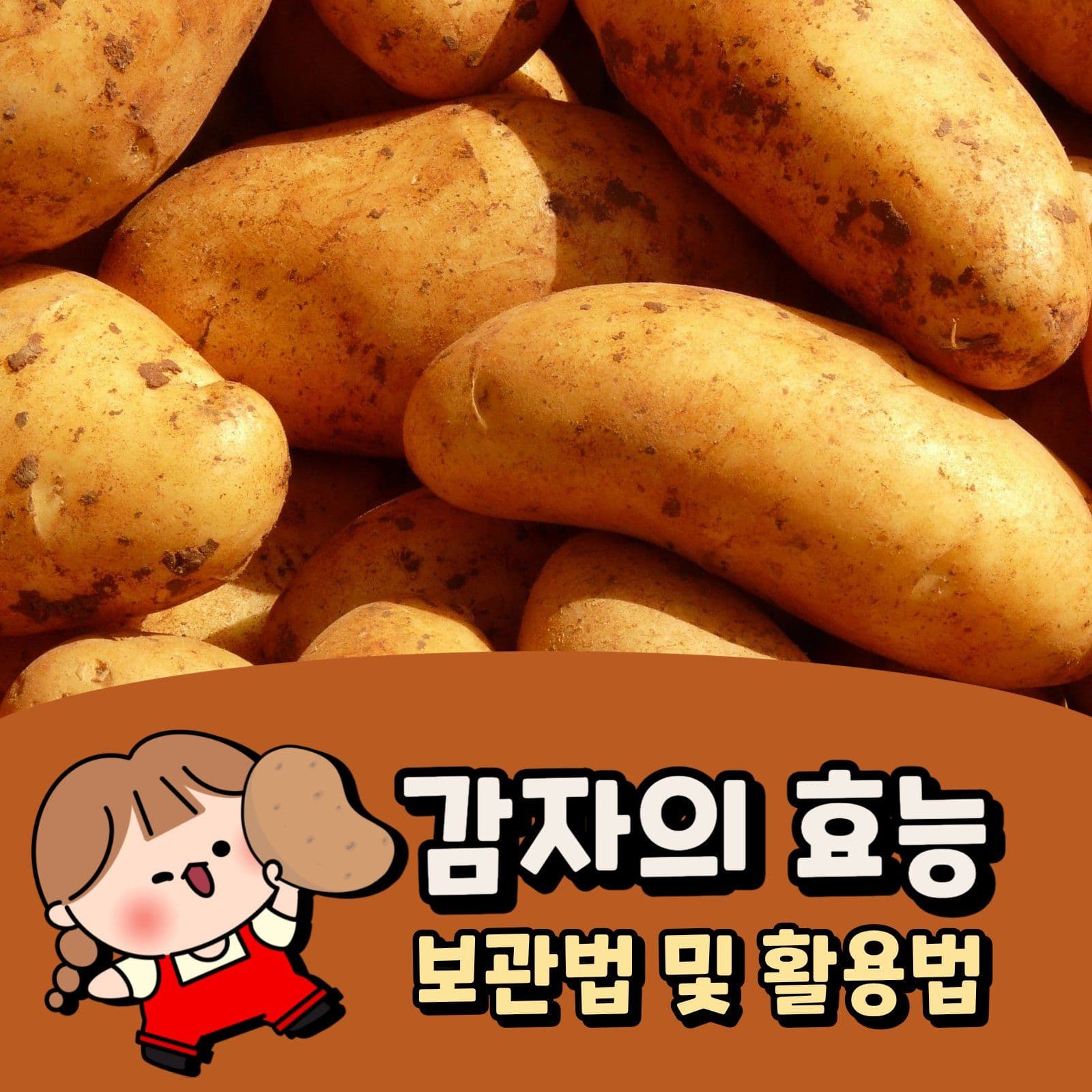 감자의 효능