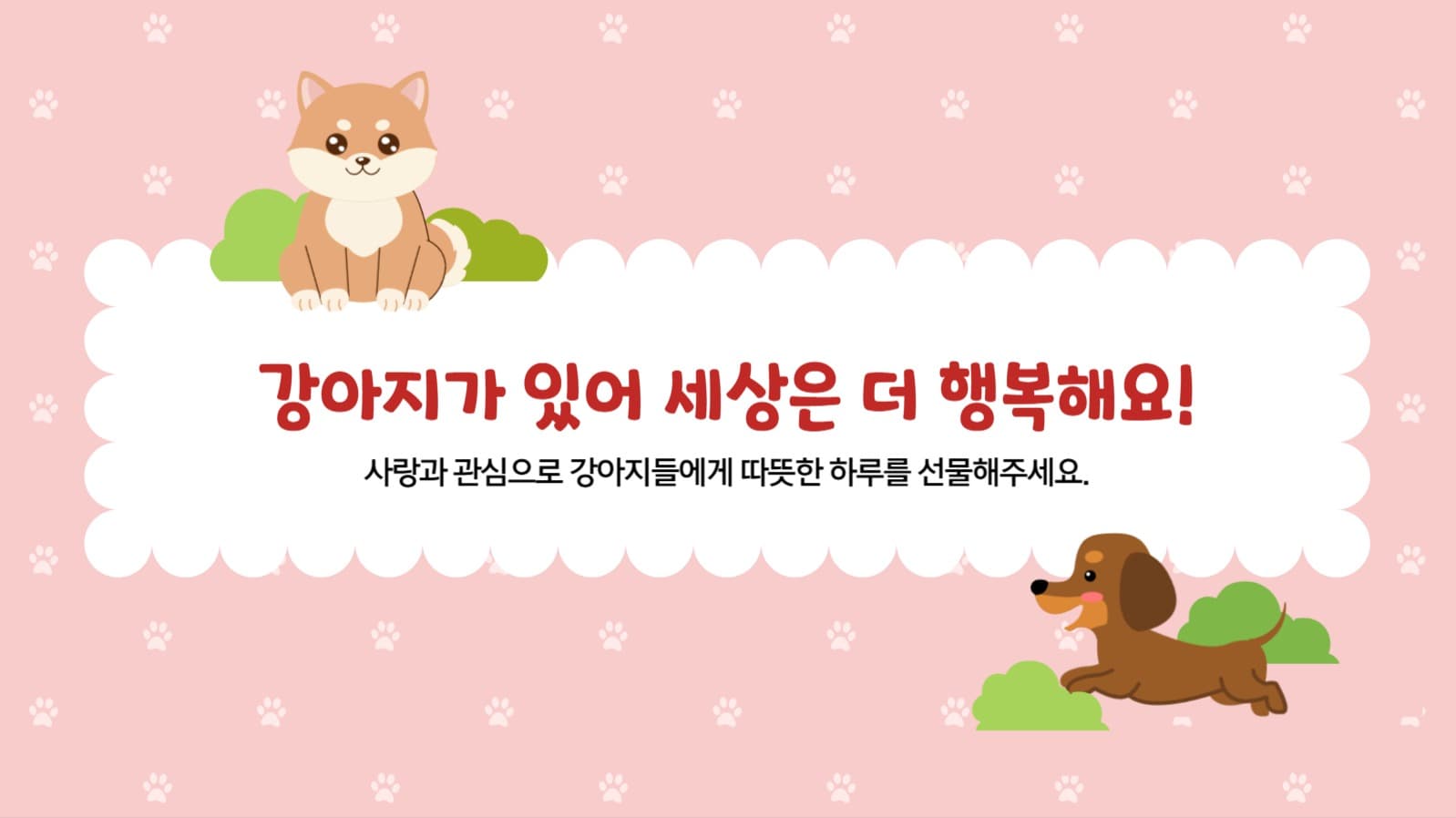 국제 강아지의날 행사