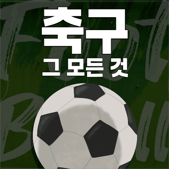 축구 관련 피드