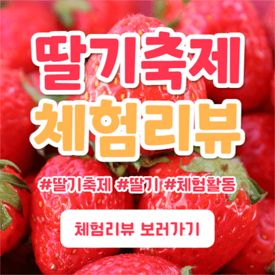딸기축제 체험리뷰 (인스타)