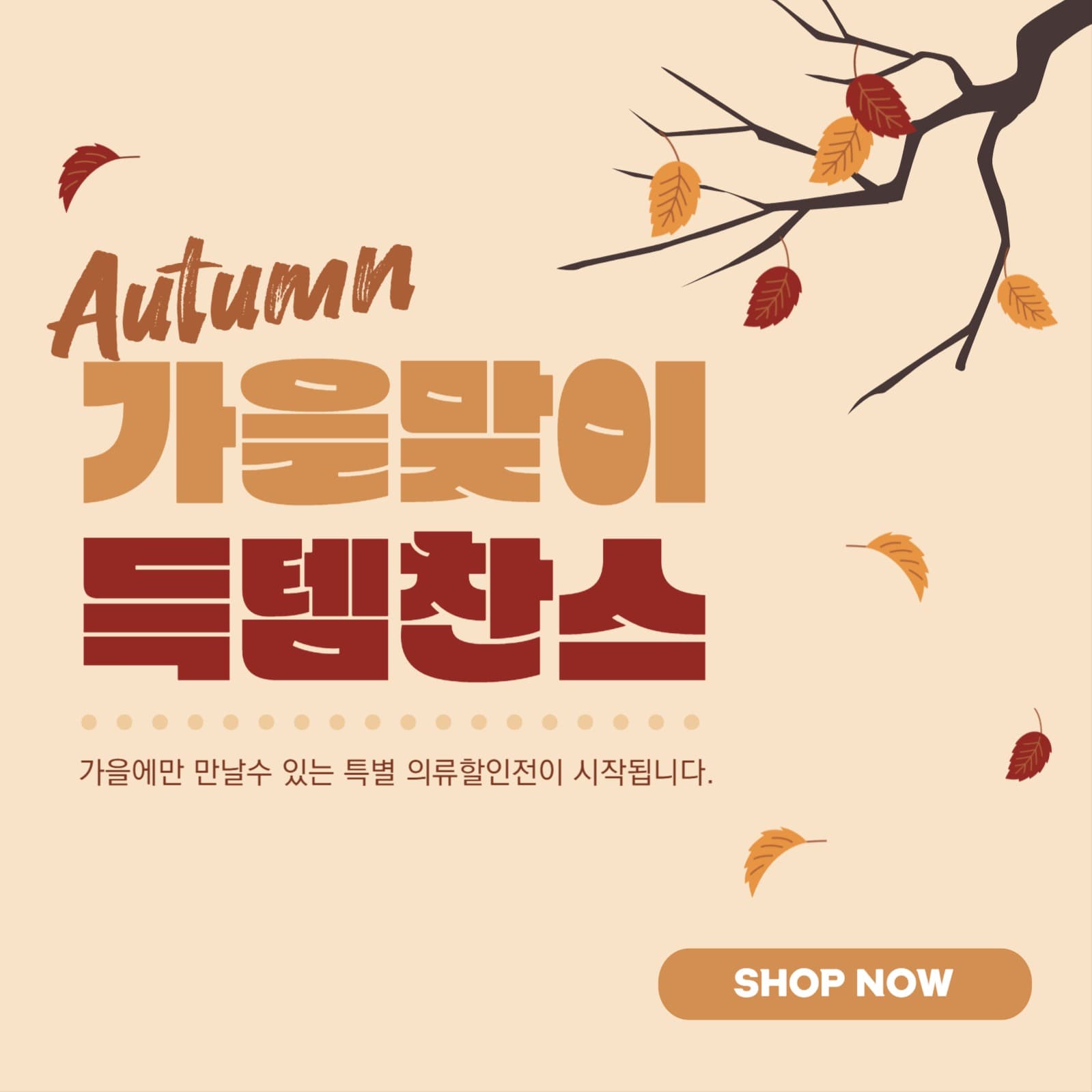 가을맞이 득템찬스