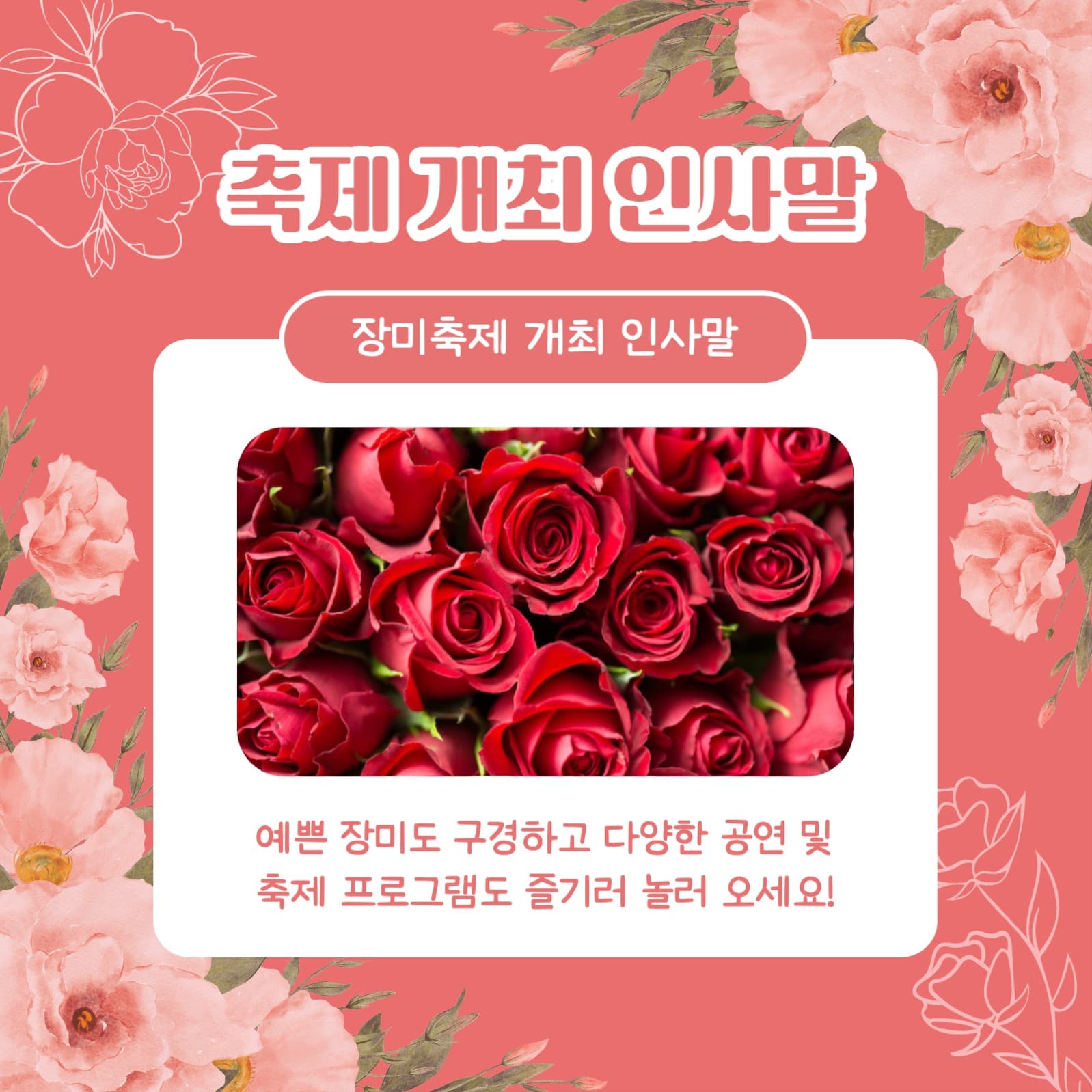 장미축제 알아보기 카드뉴스
