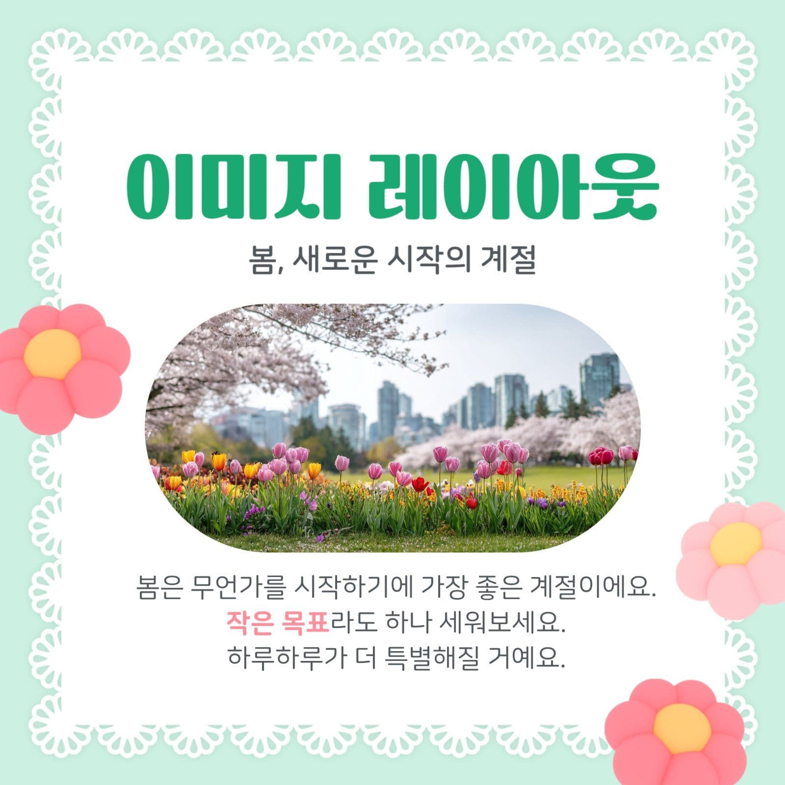 Hello Sping 카드뉴스 디자인