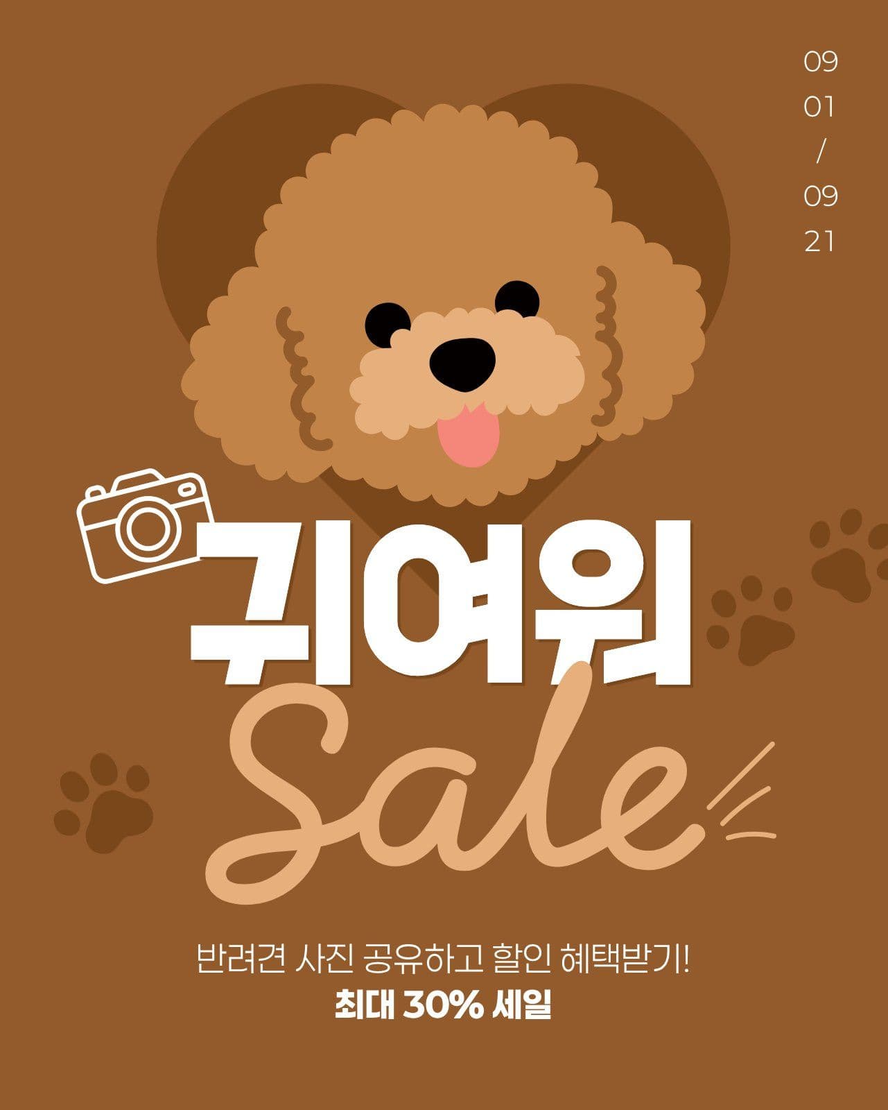 갈색 반려견 용품 세일