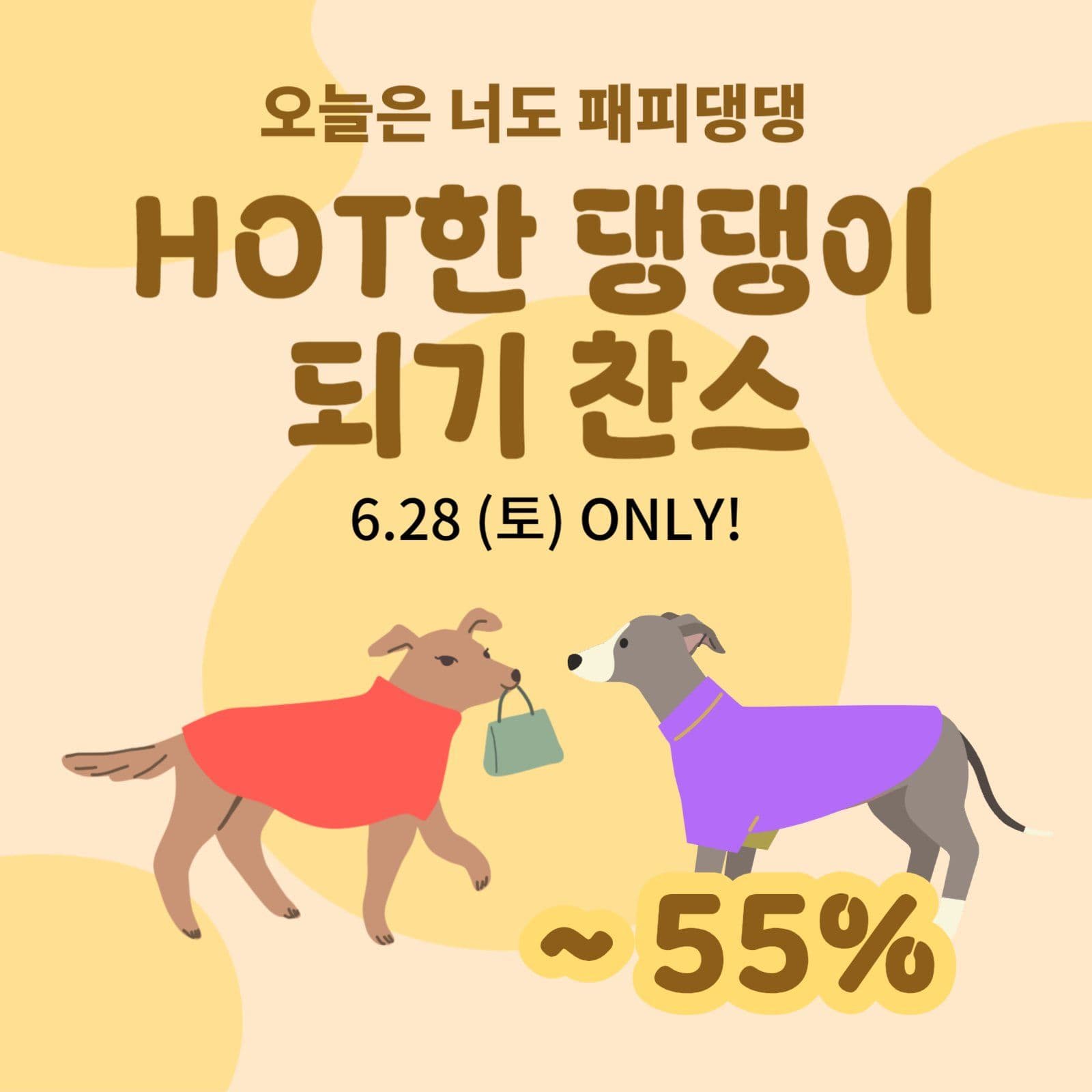 강아지 옷 할인 이벤트