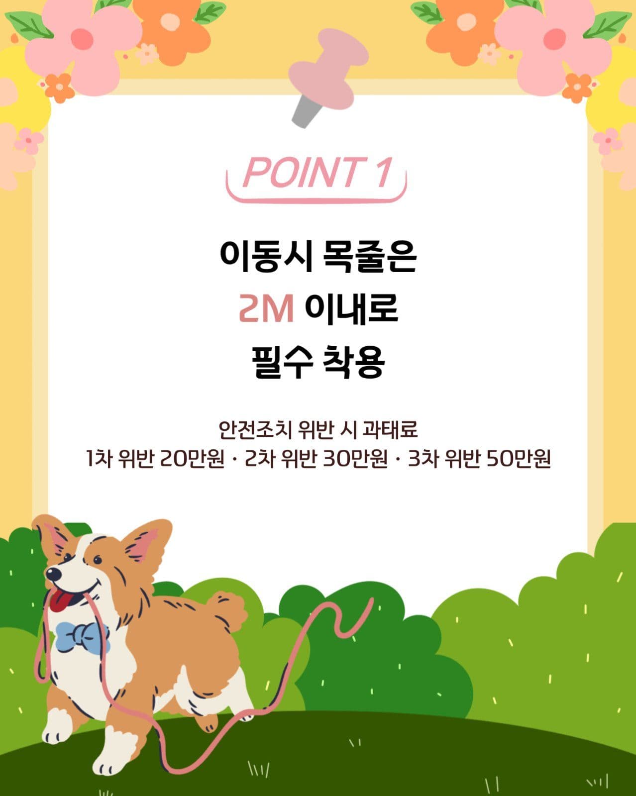 반려동물 펫티켓