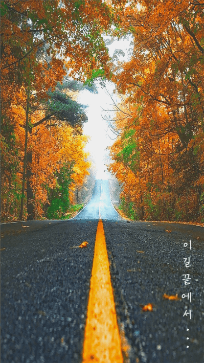 이 길 끝에서...