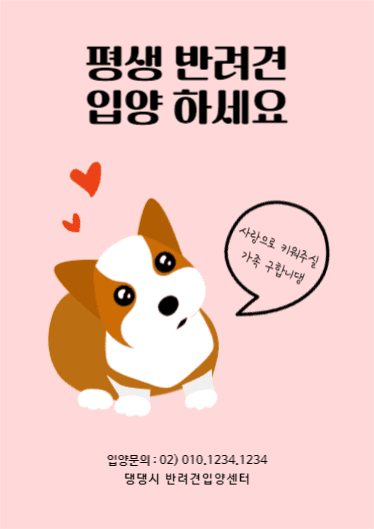 강아지 입양센터