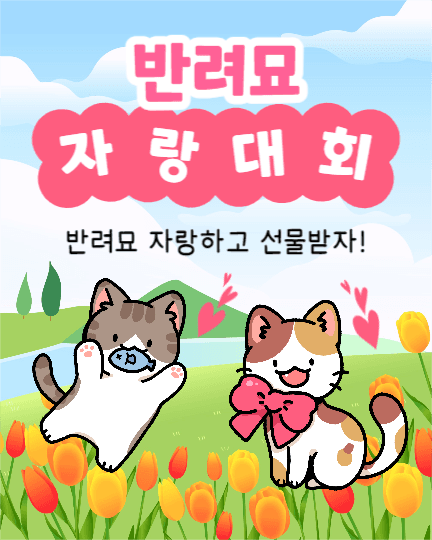 반려묘 자랑대회 (인스타세로)