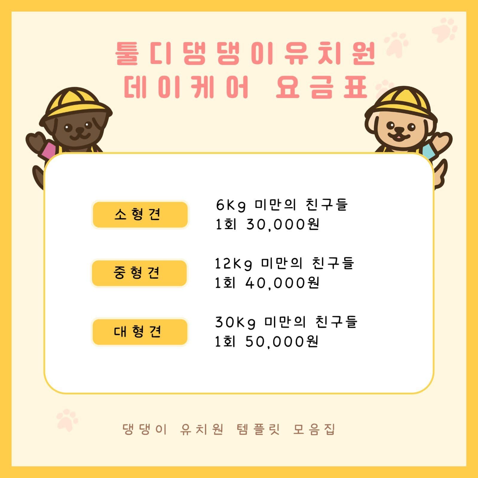 강아지 유치원 모집 카드뉴스