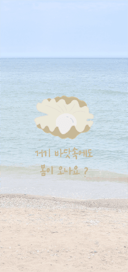 바다조개 배경화면
