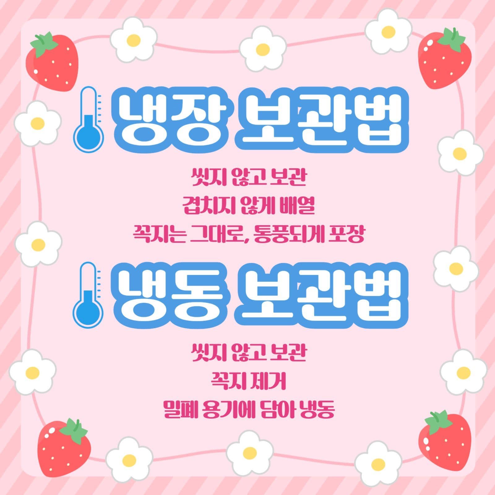 겨울 제철 과일 딸기 꿀 팁