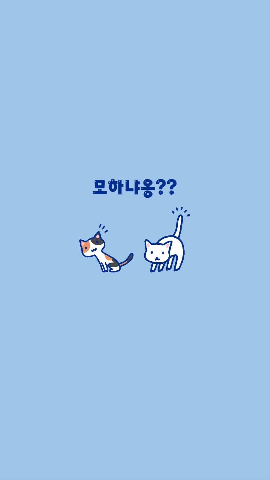 모하냐옹??