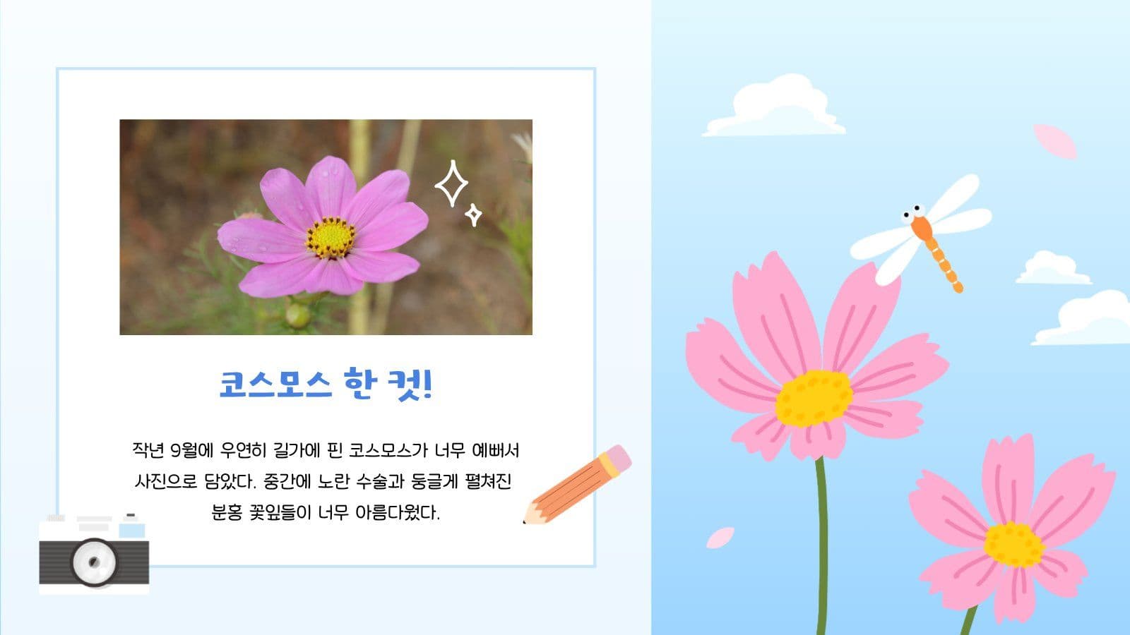 푸른 하늘 코스모스 PPT 