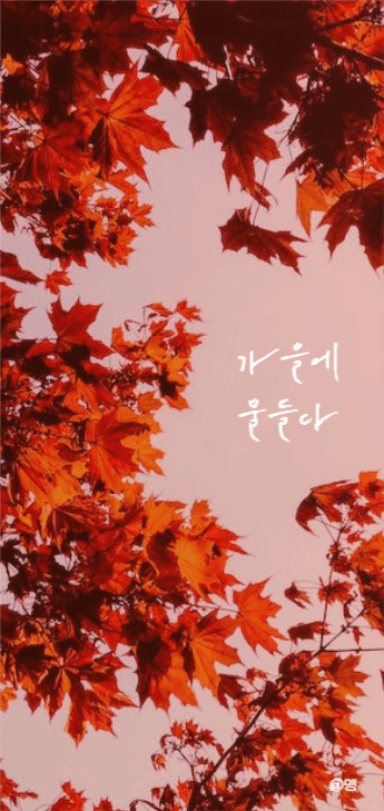 가을 감성 배경화면