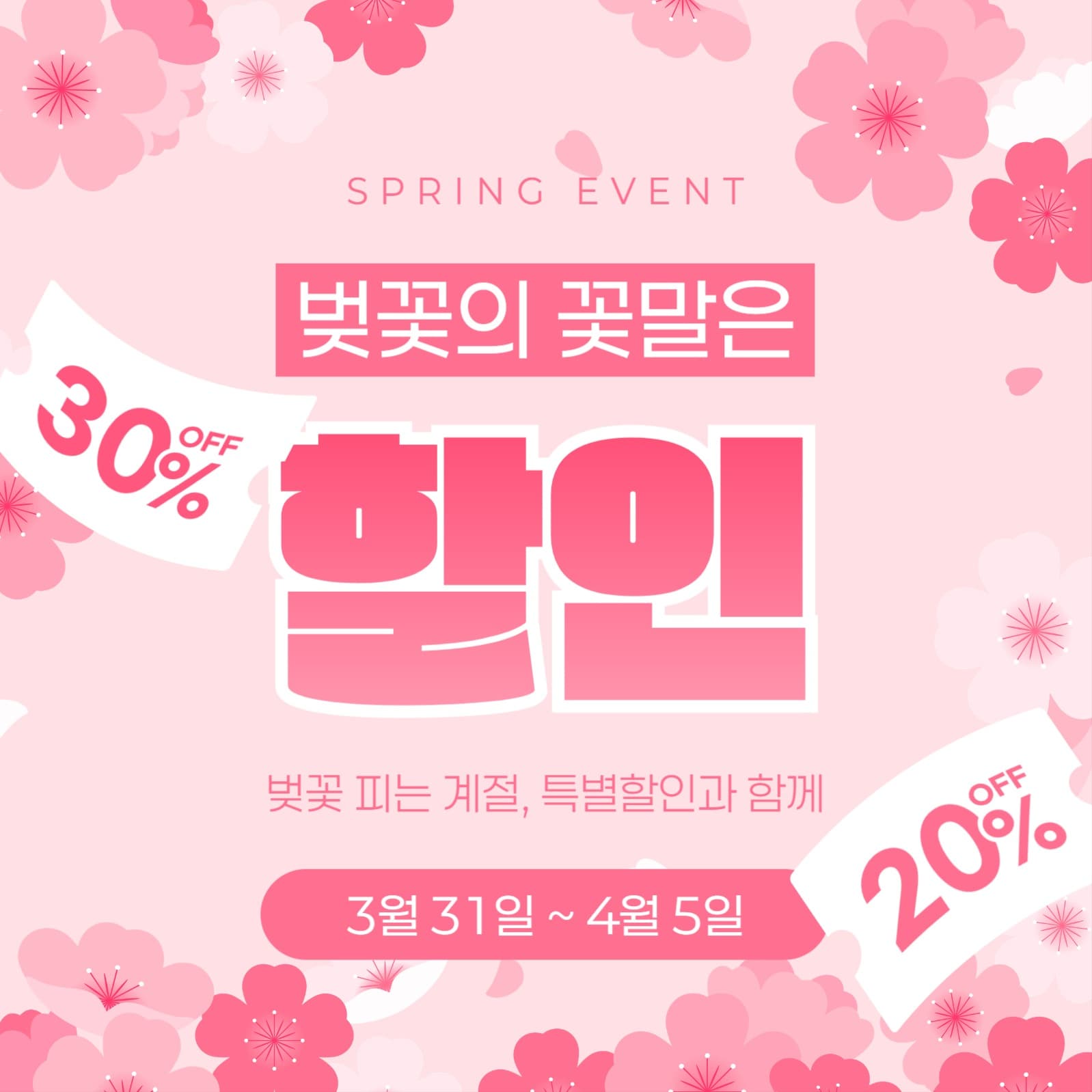 벚꽃 할인 이벤트