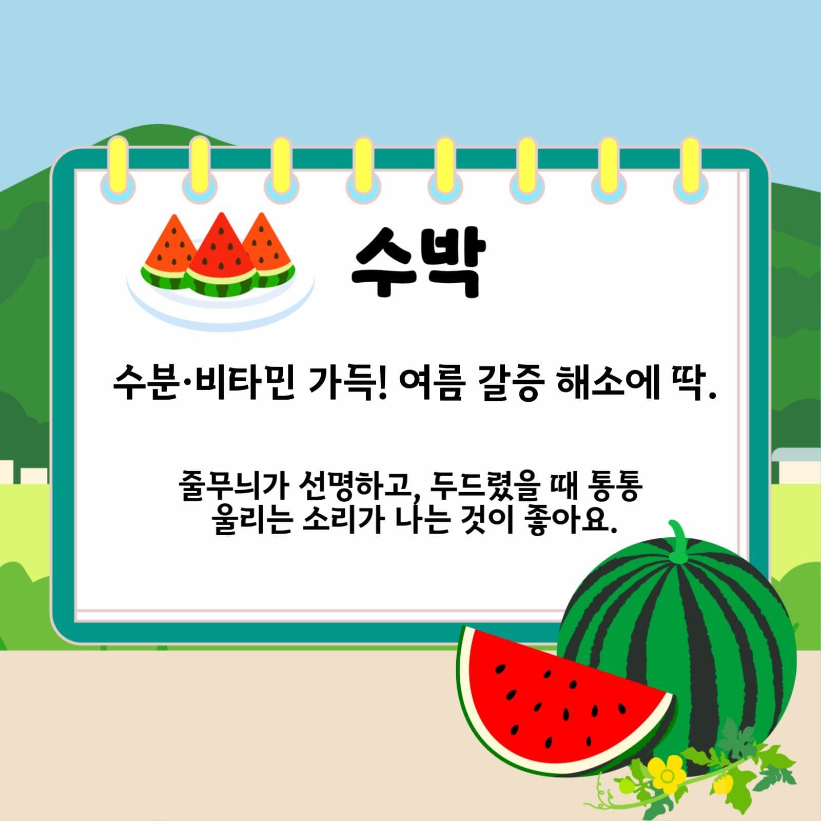여름제철음식