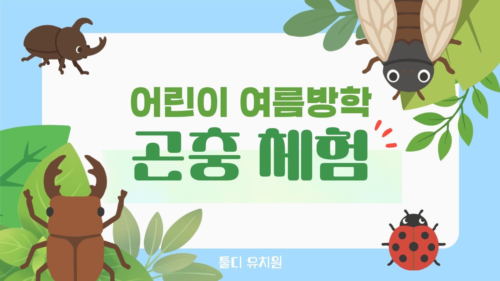 어린이 여름방학 곤충 체험