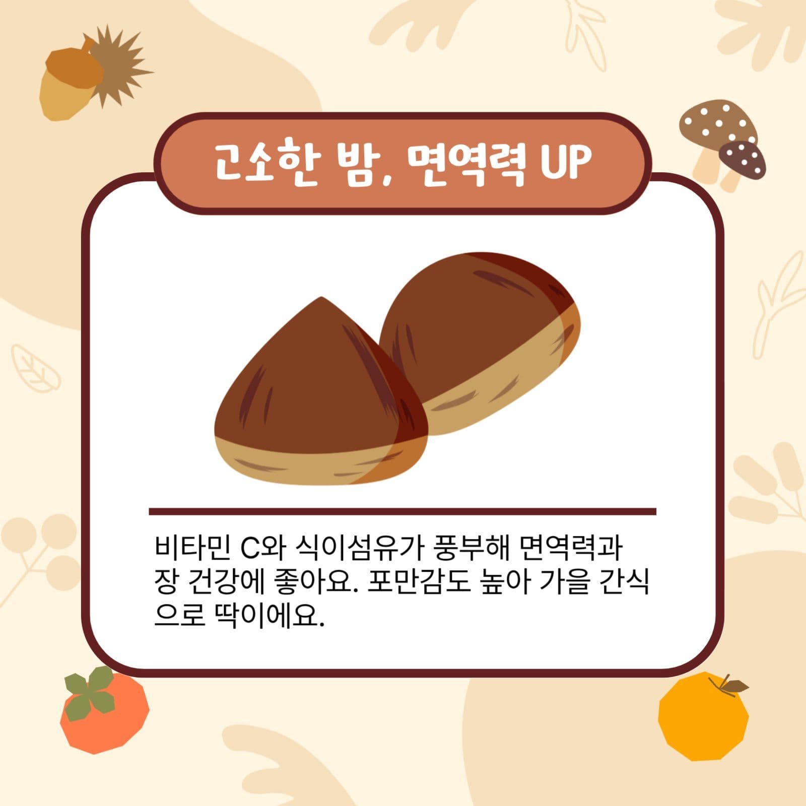 제철음식 카드뉴스