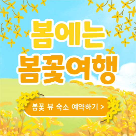 봄에는 봄꽃여행 (인스타)