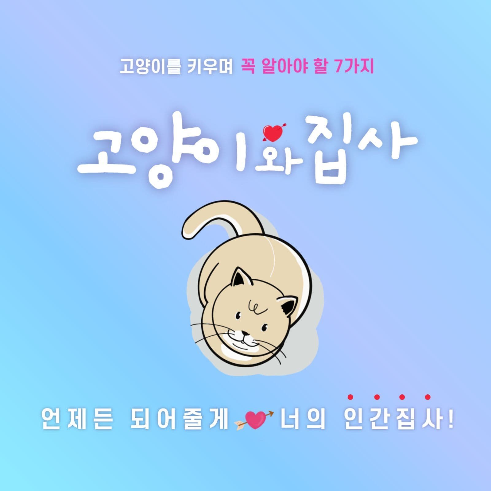 고양이와 집사