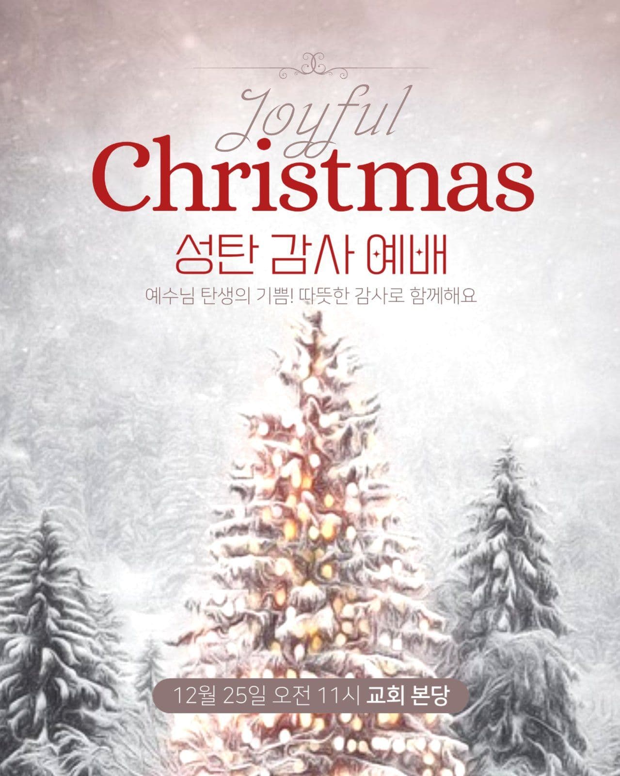 성탄 감사 예배 안내