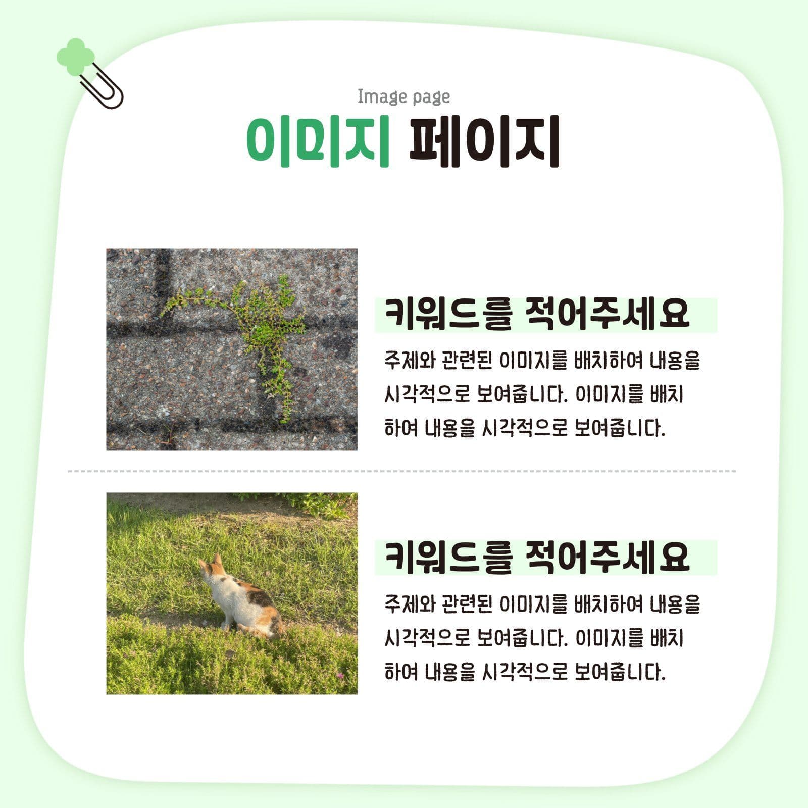 간단하고 귀여운 카드뉴스