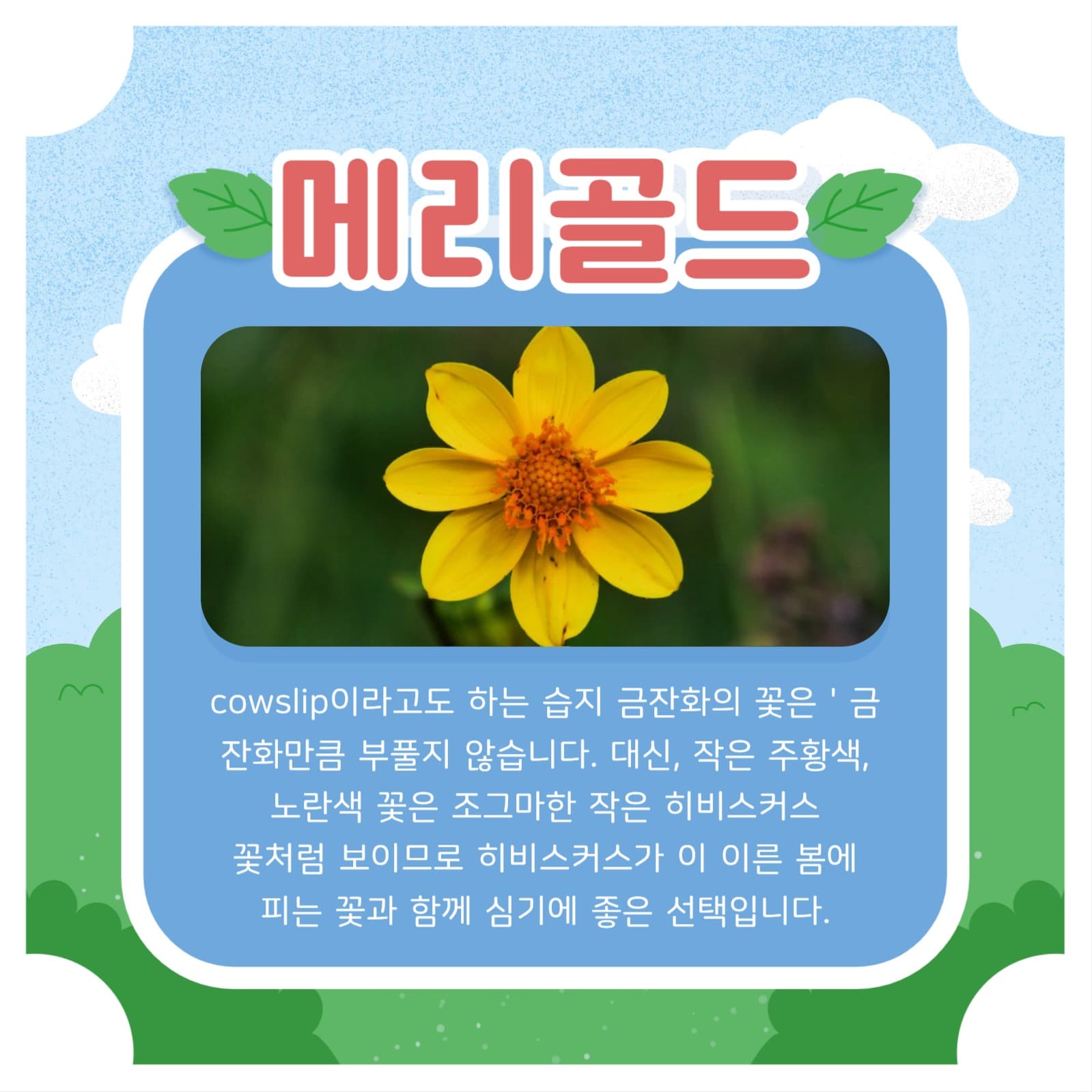 봄꽃 템플릿