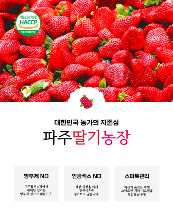 파주딸기농장 상세페이지