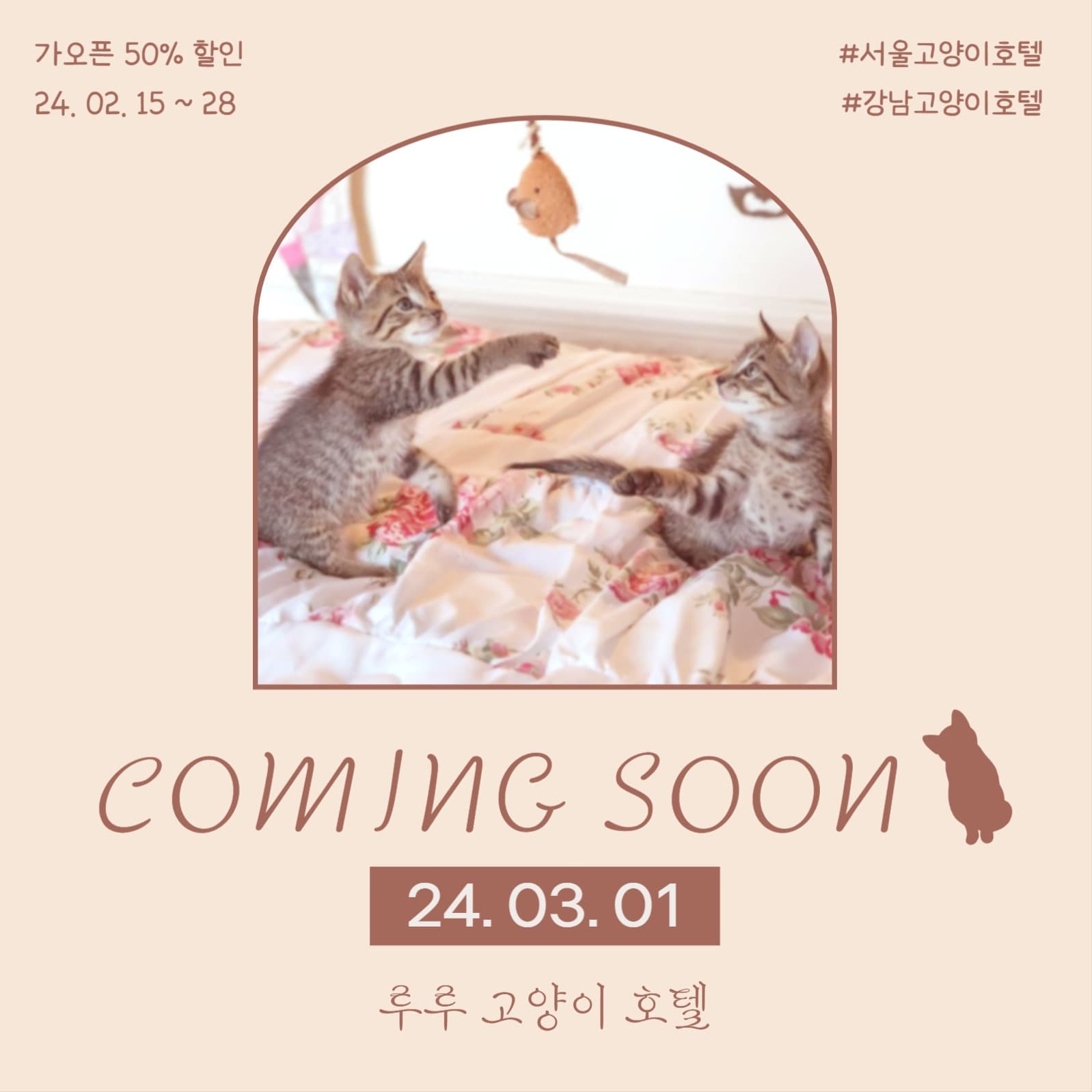 고양이 호텔