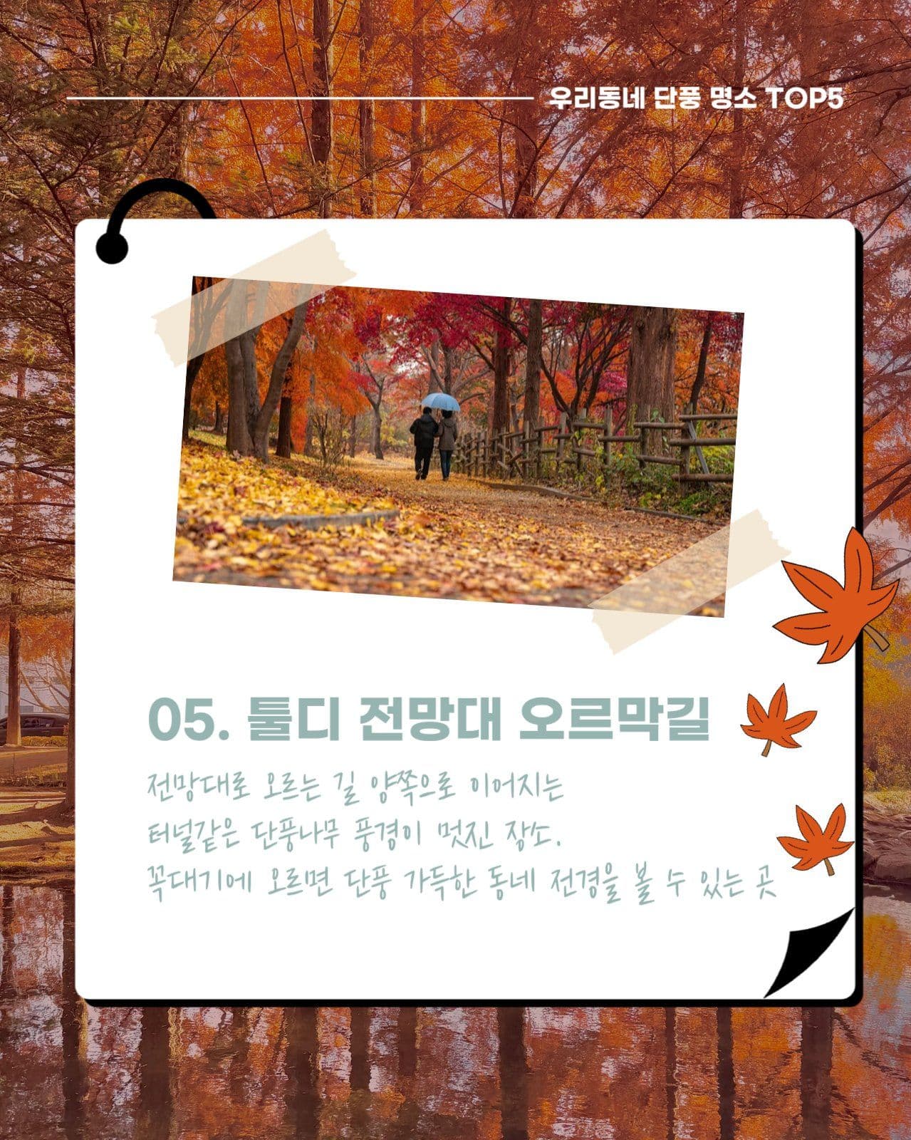 가을 단풍 명소 소개 카드뉴스