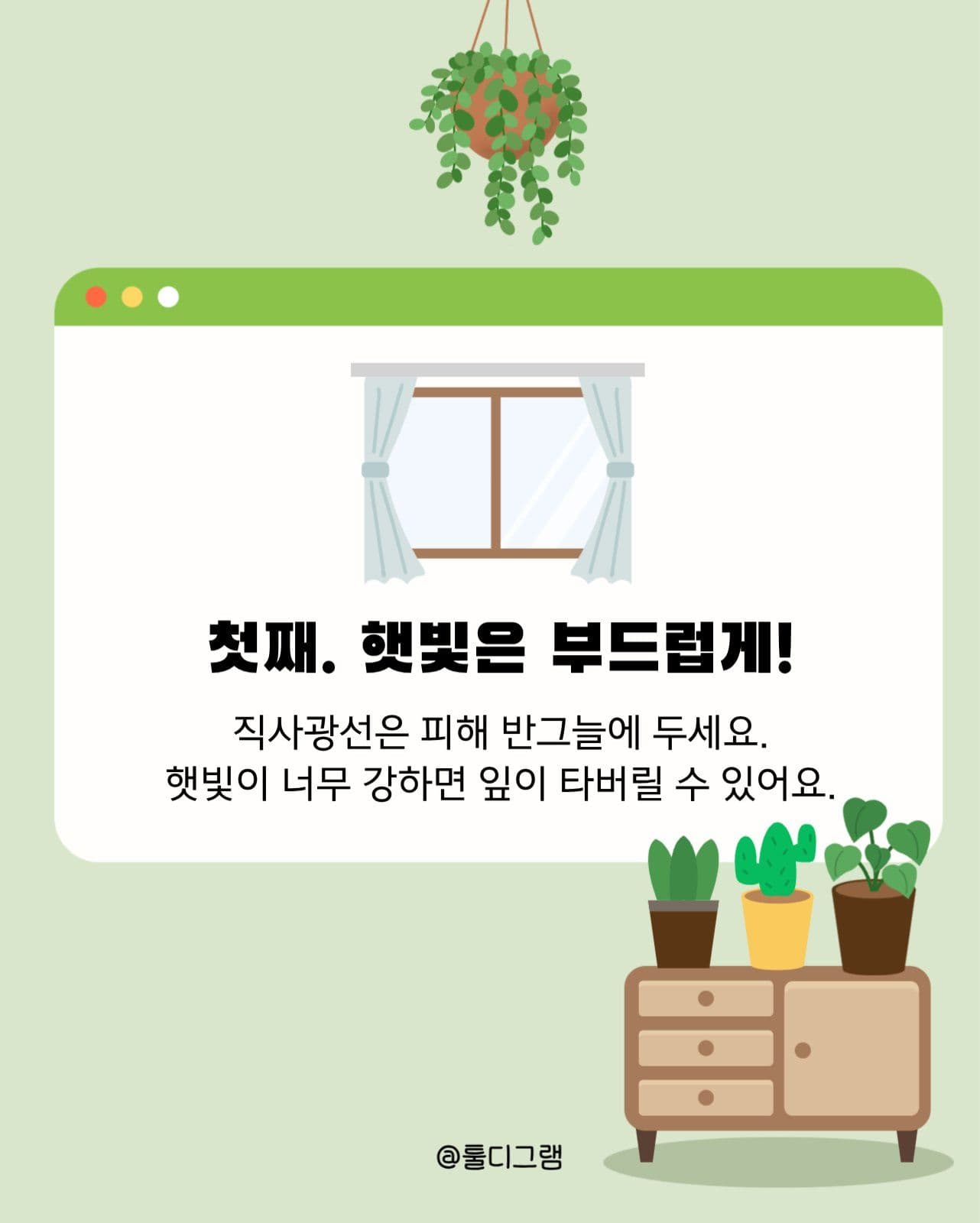 식물관리방법