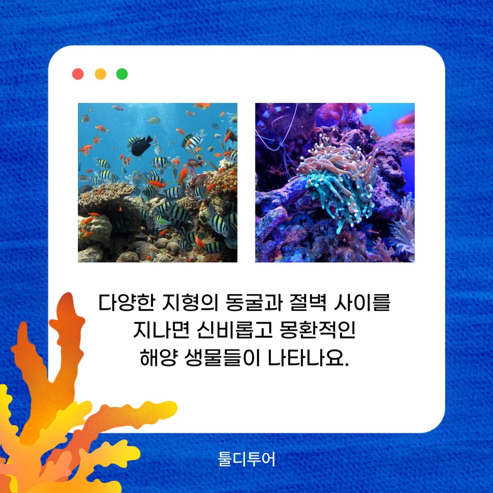여행지소개 카드뉴스 투어상품 홍보 