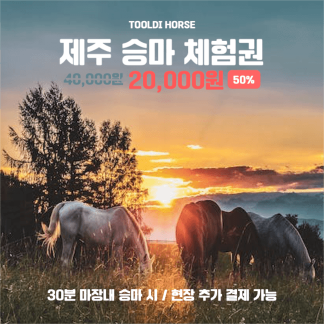 승마체험권
