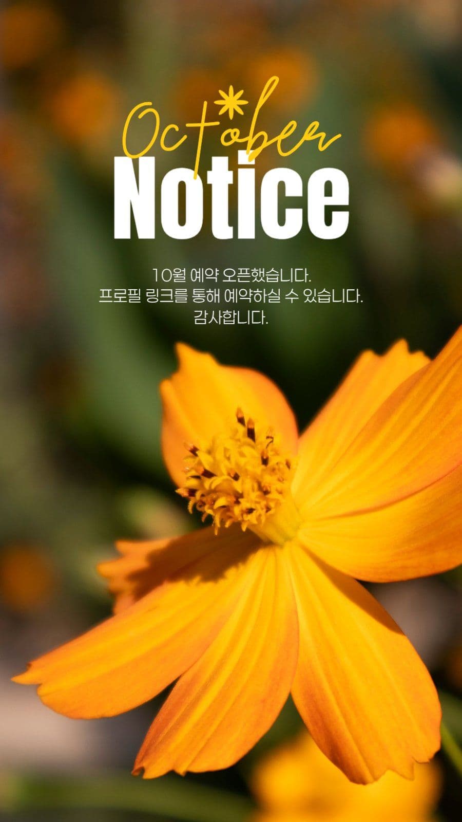 10월 예약 안내 게시물
