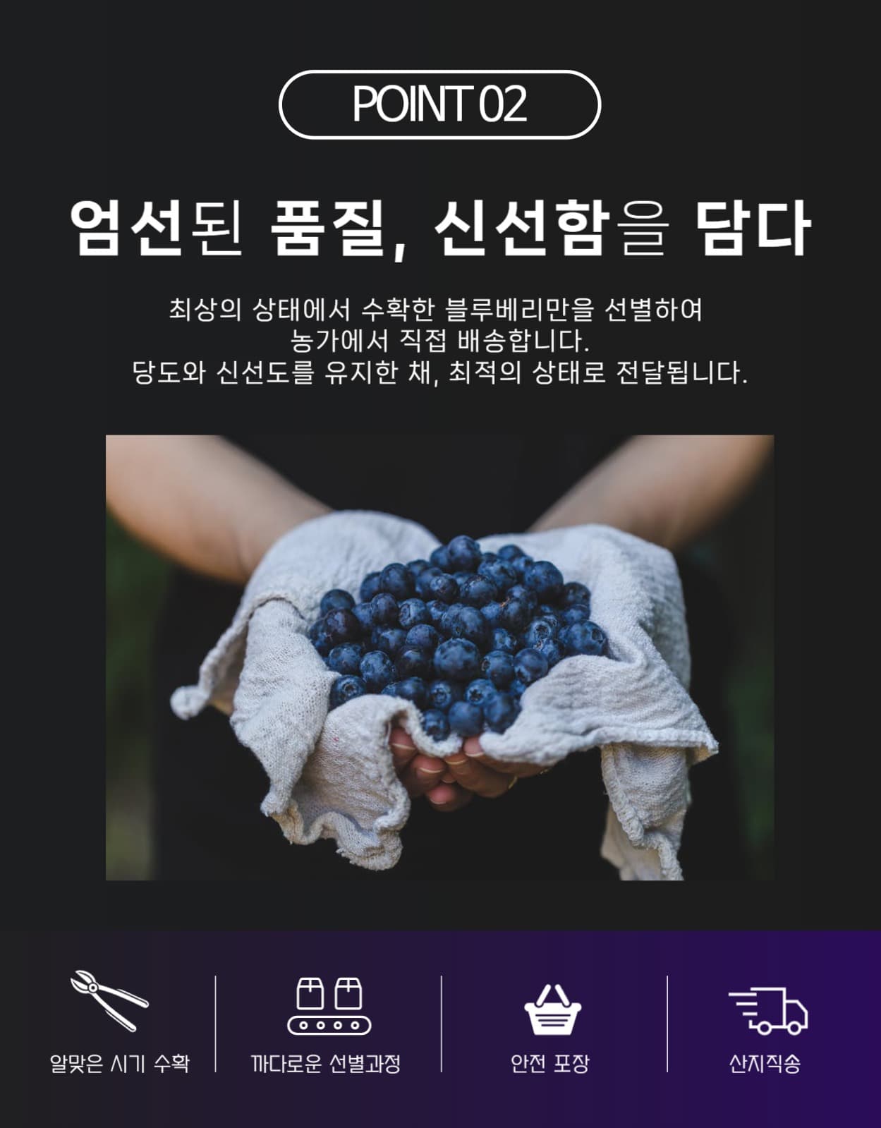 블루베리 상세페이지