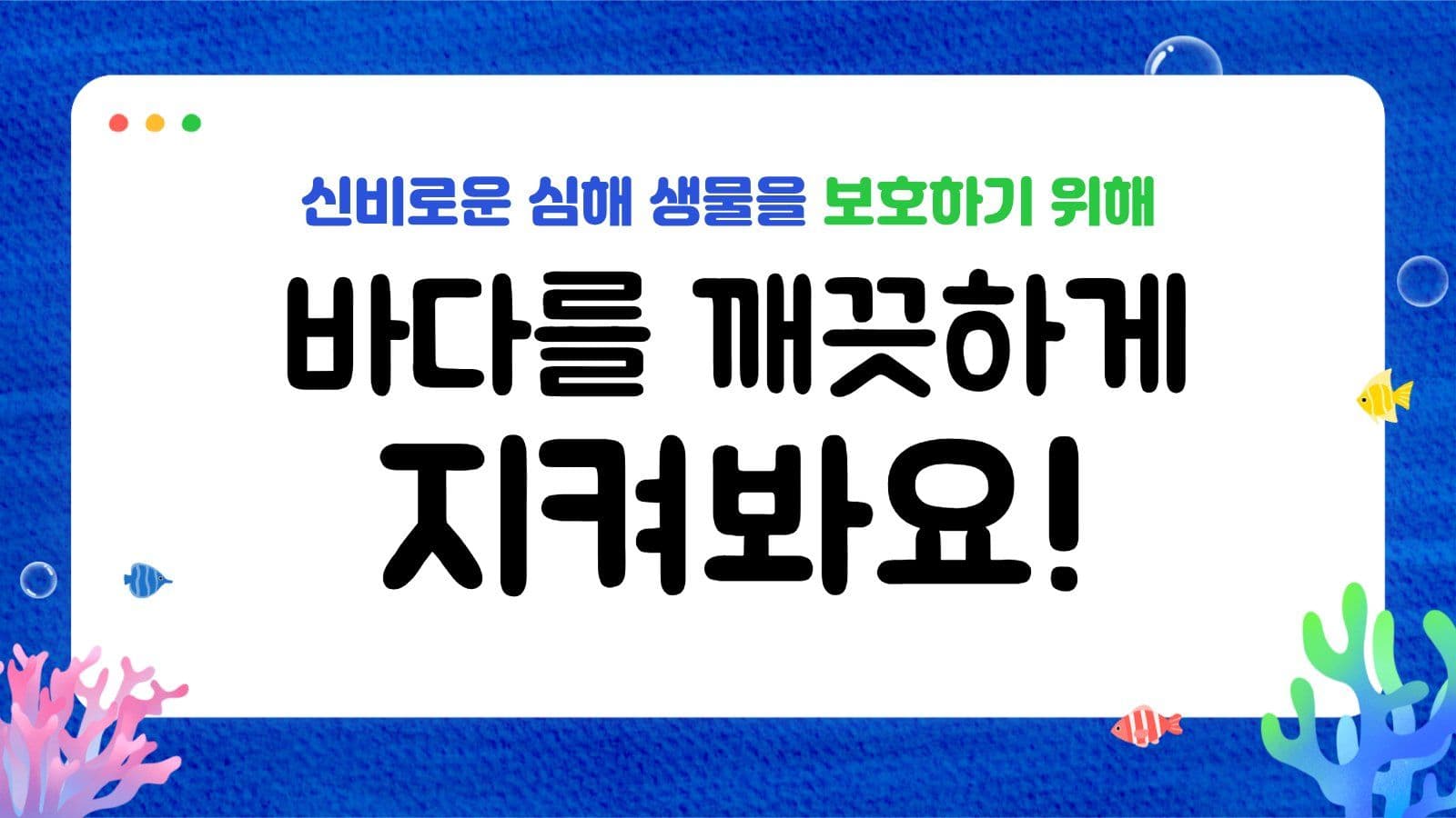 산호초 해양생물 교육자료