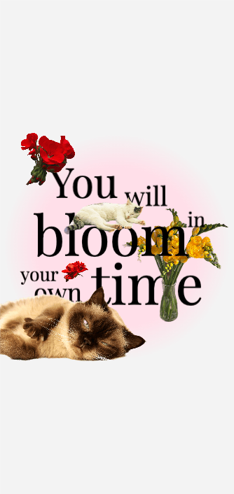 Bloom