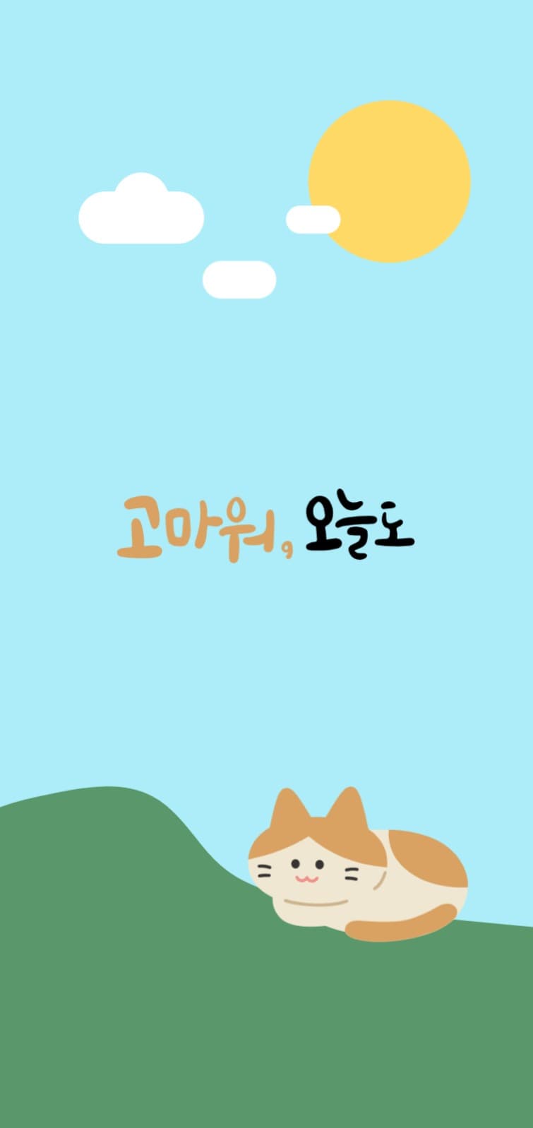 나른한 고양이